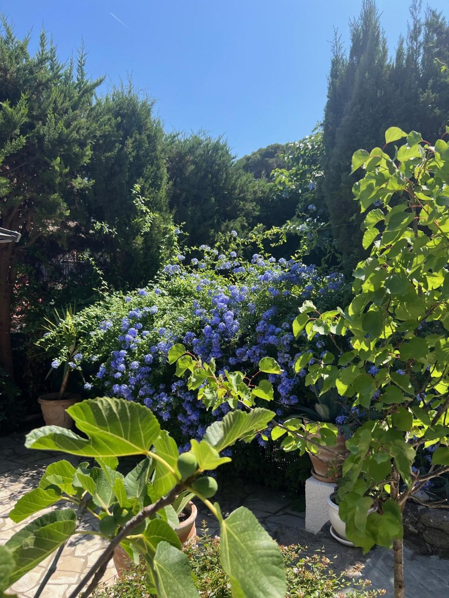 Appartement Superbe Avec Terrasse Jardin Et Parking Prive